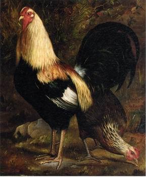unknow artist Cocks 117 oil painting picture